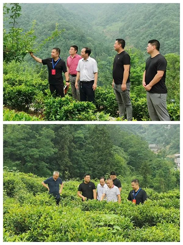 微信图片_20230705125751.jpg