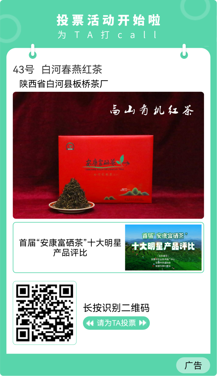 板桥茶厂1.png