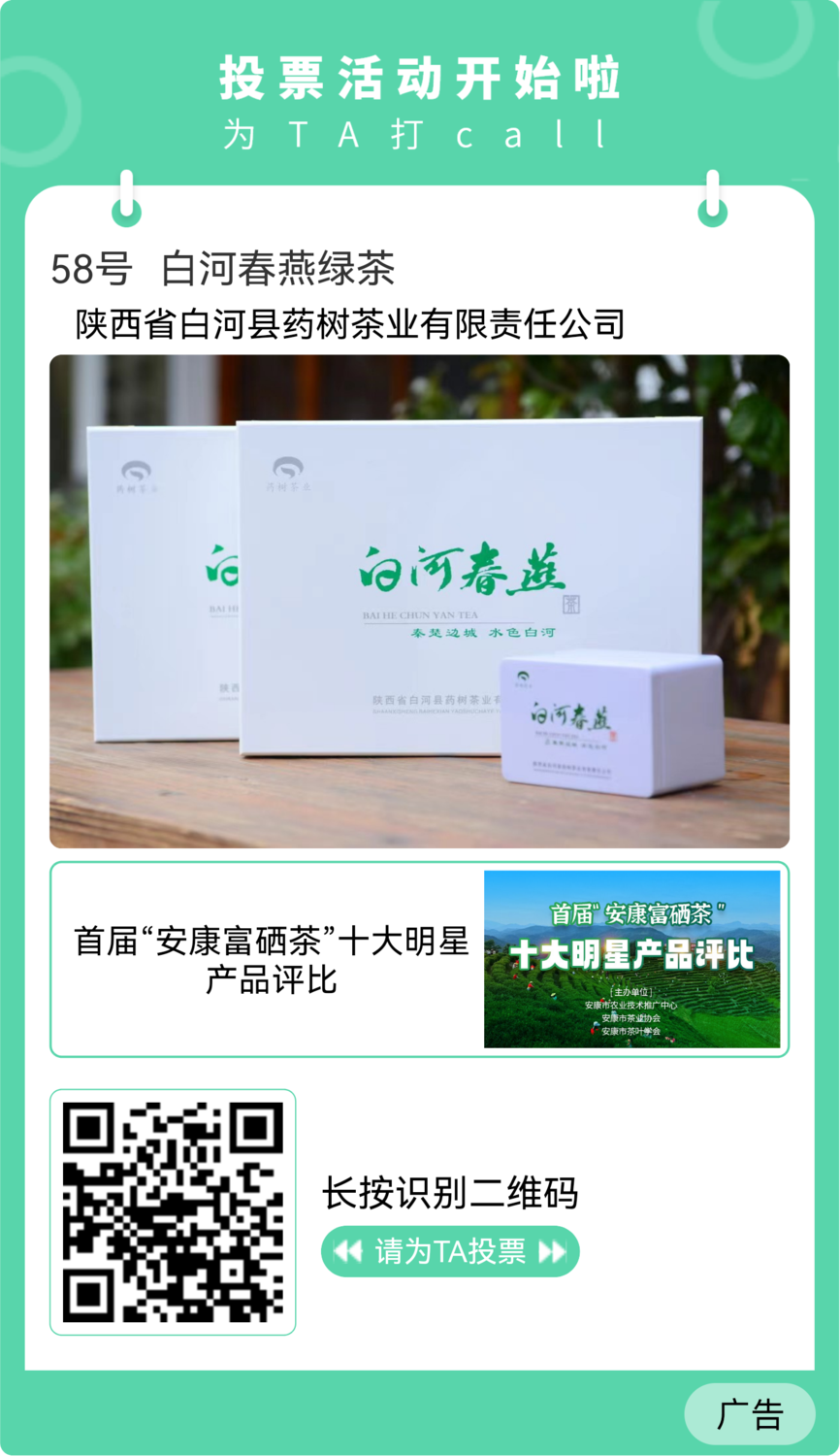 药树茶业.png